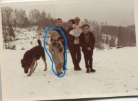 ein Bild aus dem Album